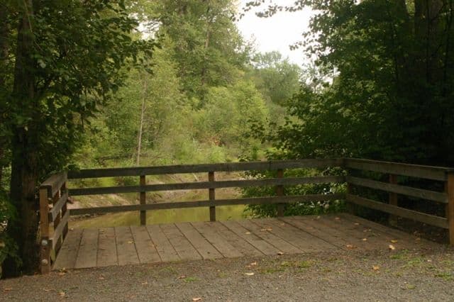 cottonwood-viewing_platform