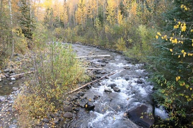 driftwood_canyon_provincial_park_babines_mountains08