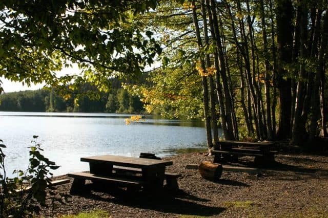 babine-pendleton_bay_park_picnic_area