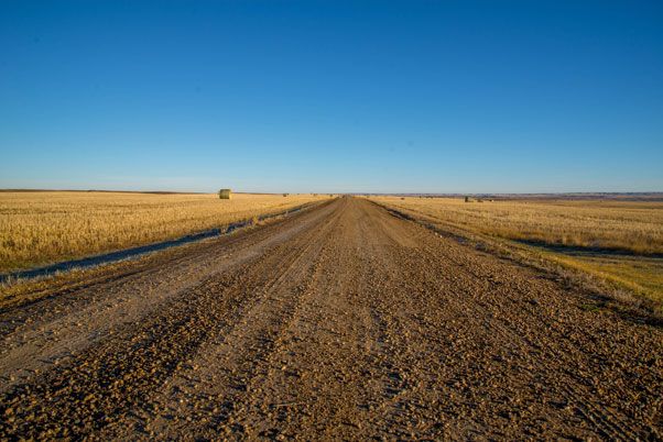 Grasslands-Dirt-Road