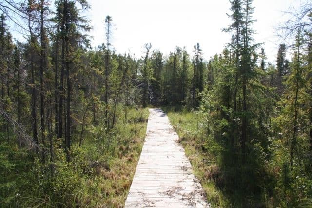 prospectors-trail_yellowknife_trail