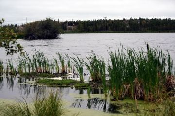 niven_lake-yellowknife_trail002