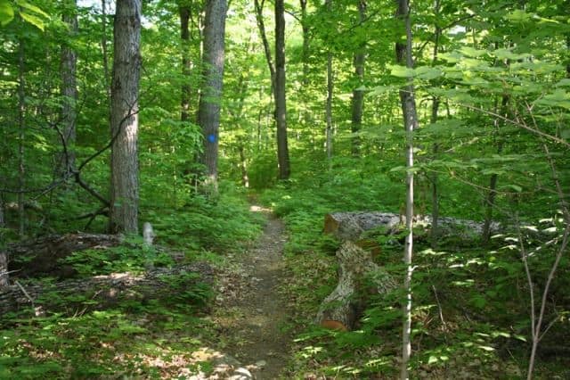 mcLeans_park_manitowaning_manitoulin_island_ontario_46