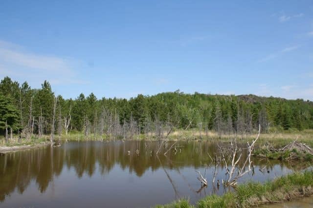 lake_laurentian_conservation_area_sudbury_ontario_51