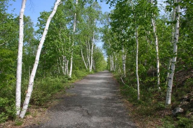 lake_laurentian_conservation_area_sudbury_ontario_69