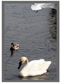 hilliardton-ontario hilliardton-ontario