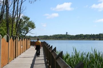 gillies-lake-conservation-area-timmins-ontario-_91