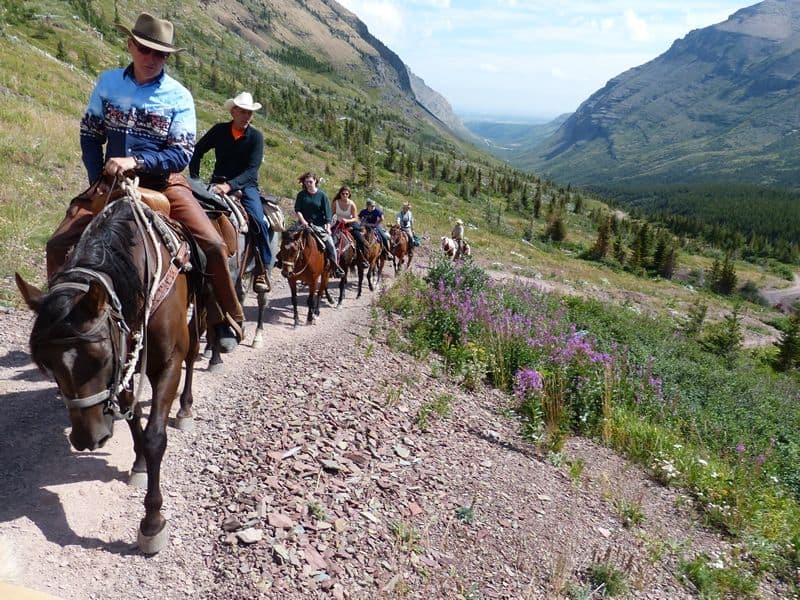 Unleash Yourself in Waterton!