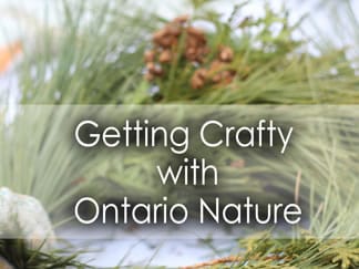 Getting Crafty with Ontario Nature