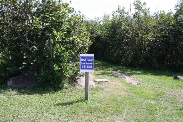 red-pointred-point-picnic-area-trail20120825_0606