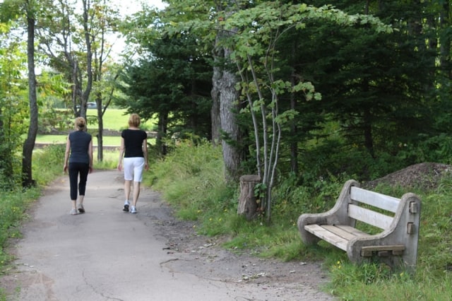 centennial-park-duck-pond-trail-bench20100822_66