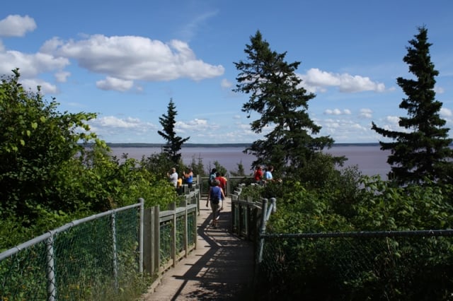 hopewell-rocks-diamond-rock-lookout20100822_85