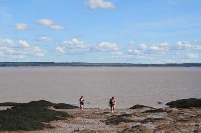 hopewell-rocks-flower-pots-beach20100822_27