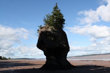 hopewell-rocks-flower-pots-more20100822_40 hopewell-rocks-flower-pots-more20100822_40