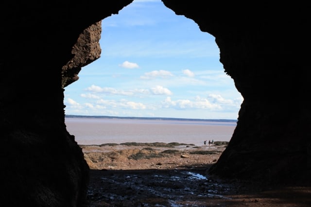 hopewell-rocks-flower-pots-people20100822_07