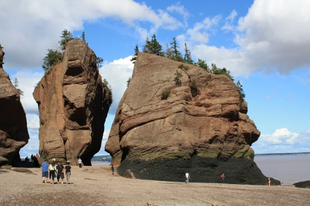 hopewell-rocks-flower-pots-people20100822_19