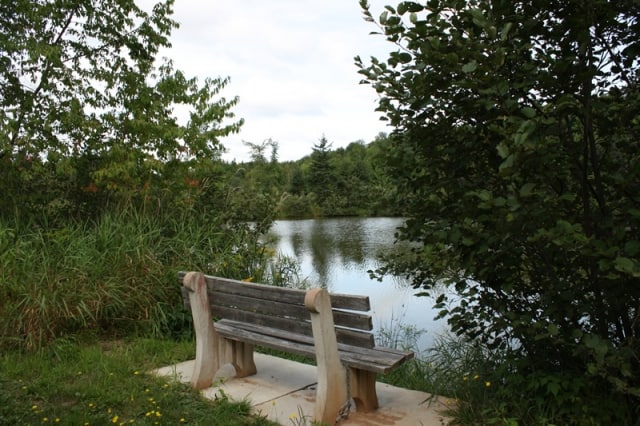 mapleton-wetland-pond-bench20100903_46