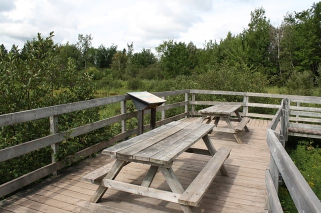 mapleton-wetland-trail-lookout20100903_34