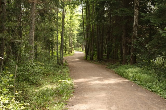 mapleton-wetland-trail20100903_28