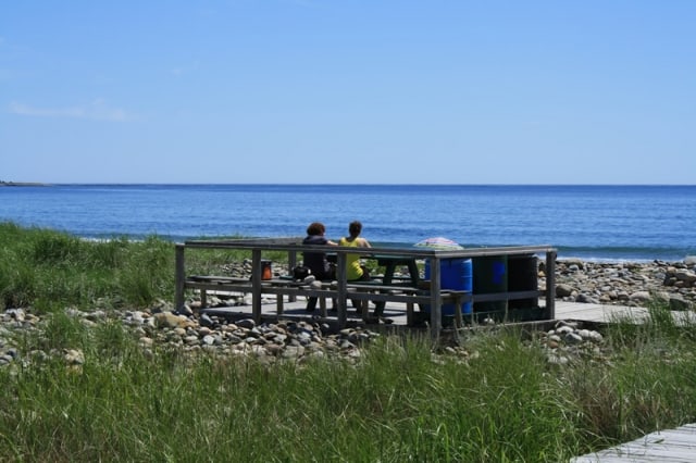 hirtles-beachboardwalk-to-beach-picnic-bench20110725_53
