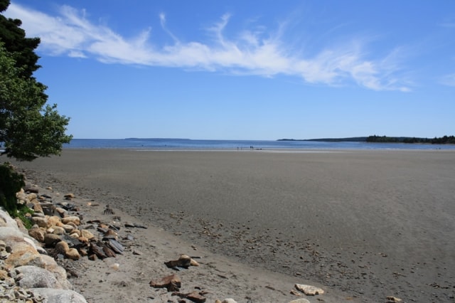 sand-dollar-beachlow-tide-beach20110725_15