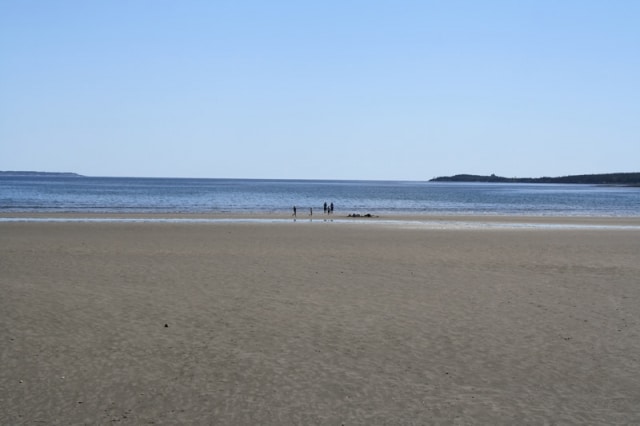 sand-dollar-beachlow-tide-beach20110725_16