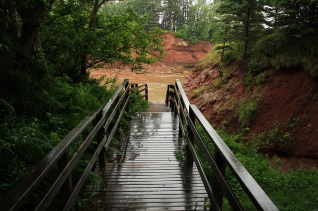 burntcoat-head-park-rock-cliff-beach-bridge20110712_76