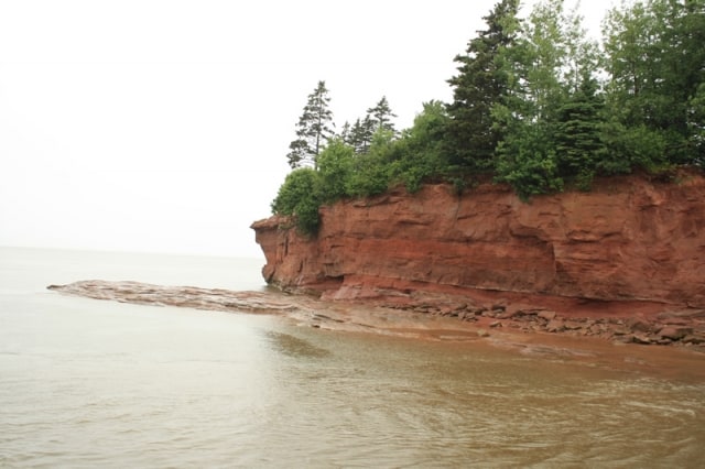 burntcoat-head-park-rock-cliff-beach20110712_72