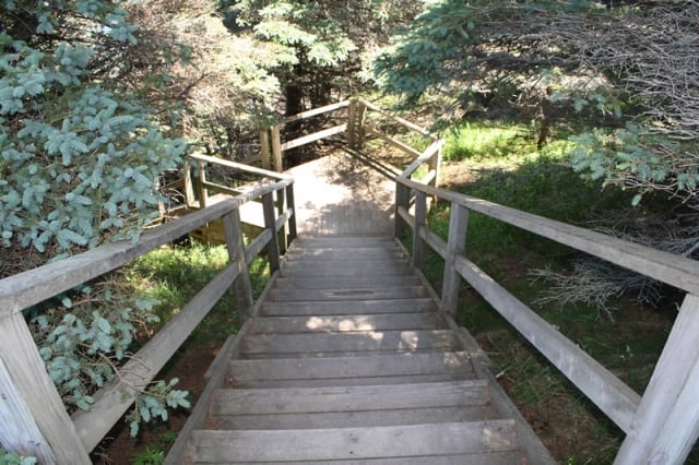 beach-access-trail-stairs20110716_06