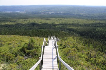 moose-barrens-to-corner-brook-trail-stairs20110820_21