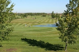 golf-fairway-01