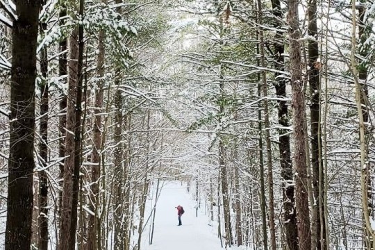 huron-natural-area-is-open-year-round-and-is-suitable-for-winter-hiking
