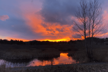 sunrise-reflection-from-the-rithet-s-bog-trail
