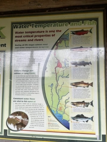 water-temperature-and-fish-sign