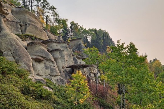 hoodoo-trail-sundance-provincial-park-alberta