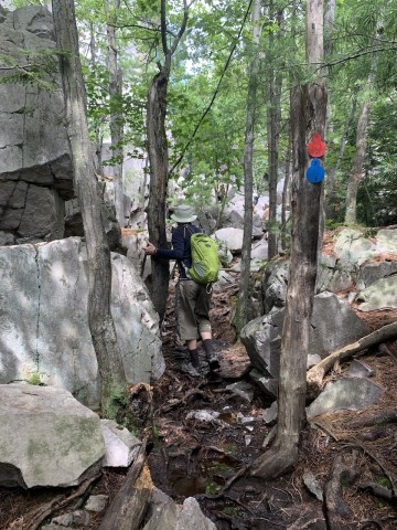 trail-markers-in-killarney-provincial-park