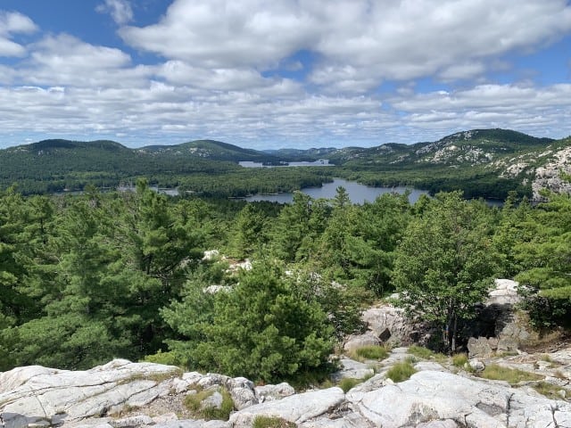 views-from-the-crack-summit