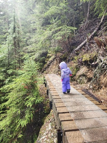 boardwalk-hiking-bear-creek-falls-bc