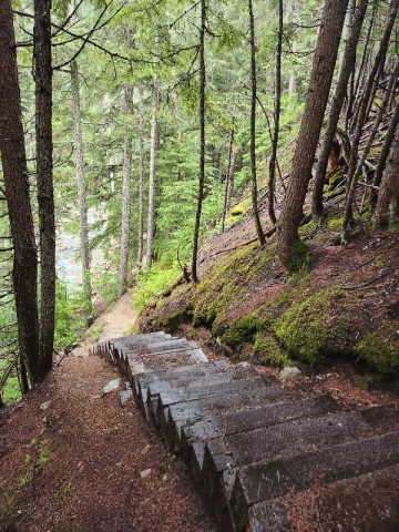 stairs-to-bear-creek-falls-bc
