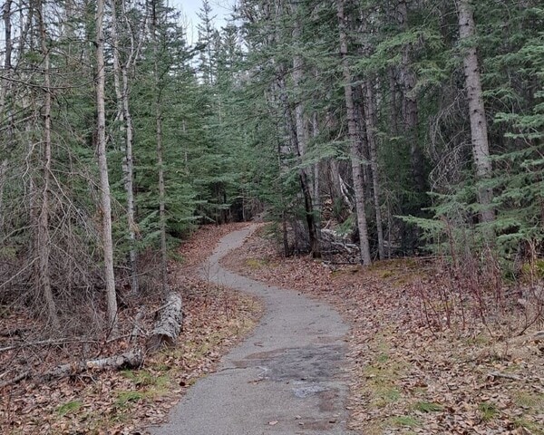 coal-mine-paved-trail-jasper-national-park