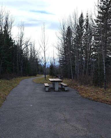 coal-mine-trail-picnic-area-in-jasper-national-park