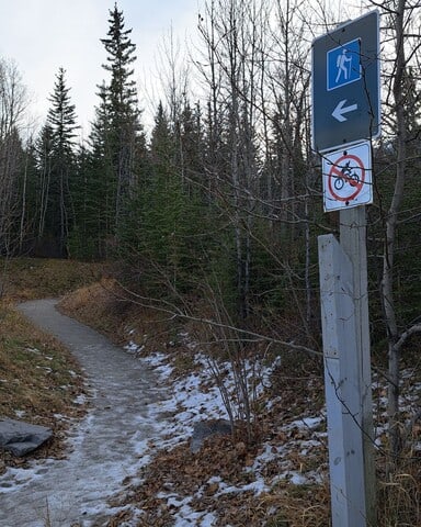 coal-mine-trailhead-jasper-national-park