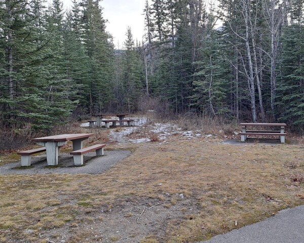 jasper-national-park-coal-mine-trail-picnic-area