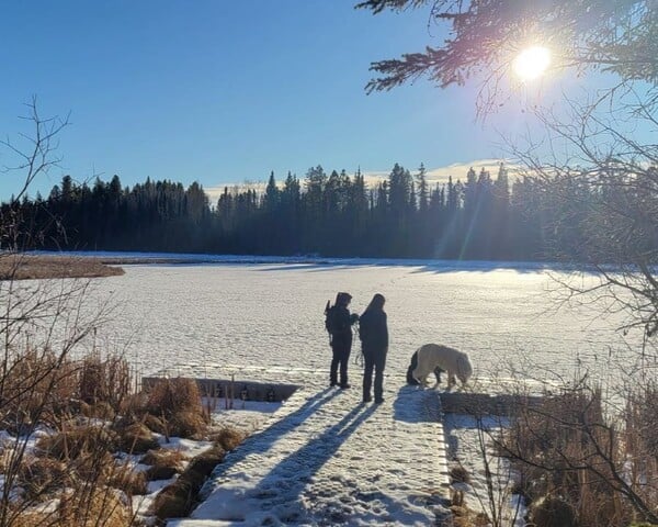 beaver-pond-in-crimson-lake-provincial-park-alberta