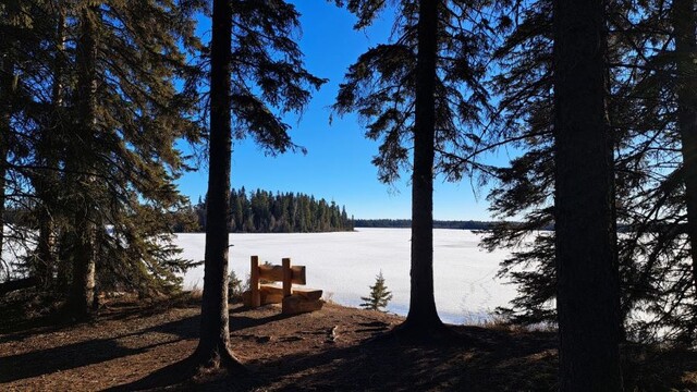 bench-with-a-view-on-the-aremada-trail-at-crimson-lake