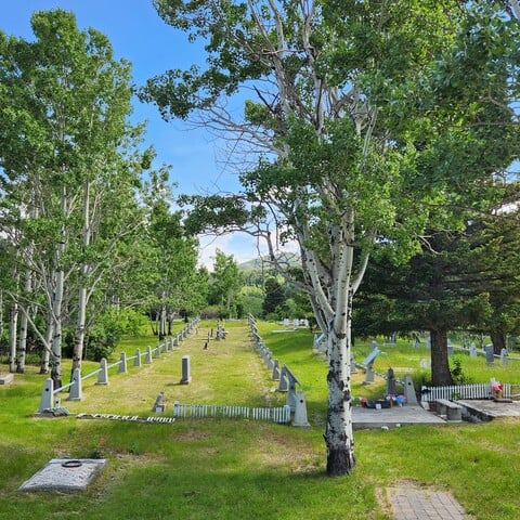 mass-graves-hillcrest-alberta-canada