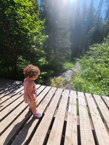 toddler-friendly-hike-crowsnest-pass
