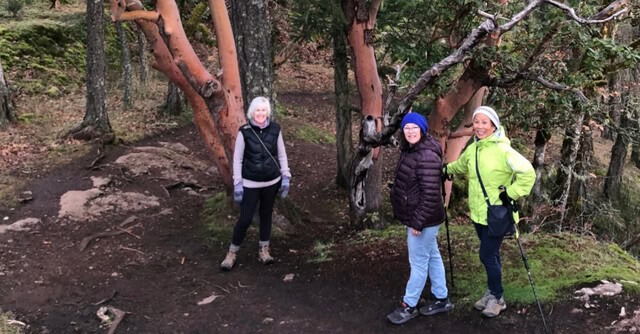 a-path-through-the-arbutus-trees-at-stoney-hill-regional-park