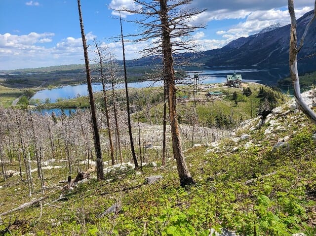 bears-hump-views-from-trail