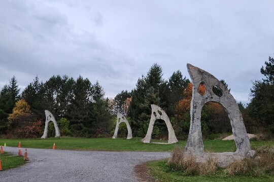 screaming-heads-burks-falls-ontario-canada